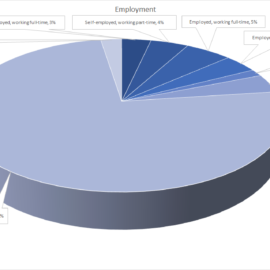A pie chart with the word employment written in it.