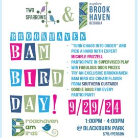 Colorful poster for Brookhaven Bird Day event on September 29, 2024.