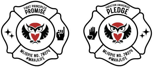 Memo 20230508 Merit Program for Instructors Pre-Launch Two black and white firefighter badges with distinct symbols and text.